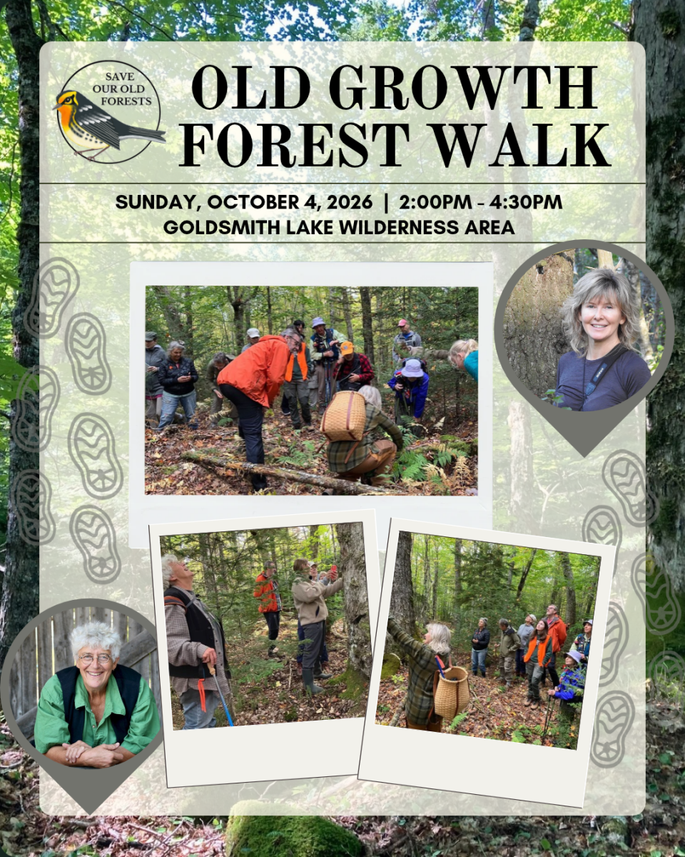 OGF-Walk-Recap