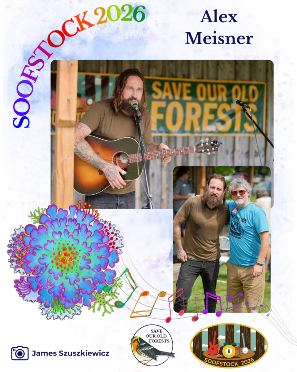 Festival - Recap - Alex Meisner