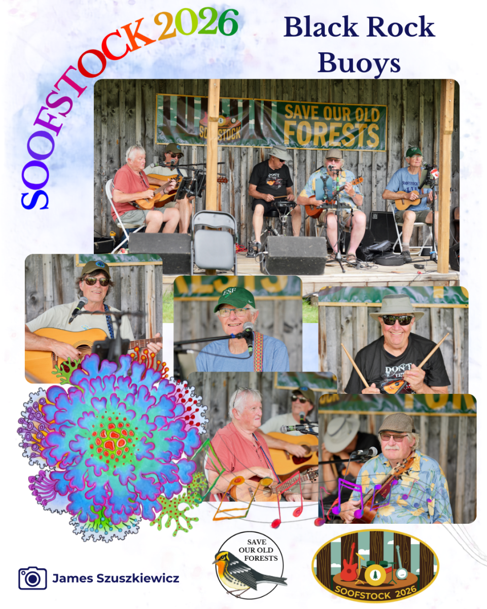 Festival - Recap - Black Rock Buoys