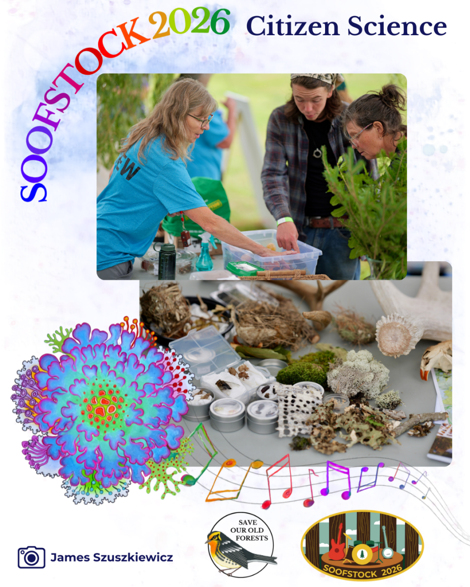 Festival - Recap - Citizen Science