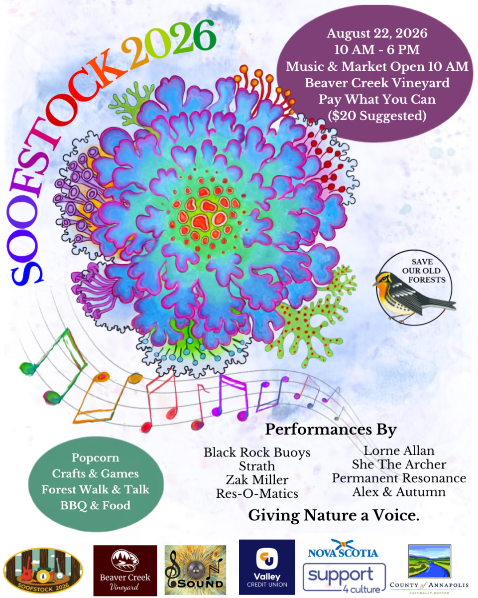 FESTIVAL Posters - 1