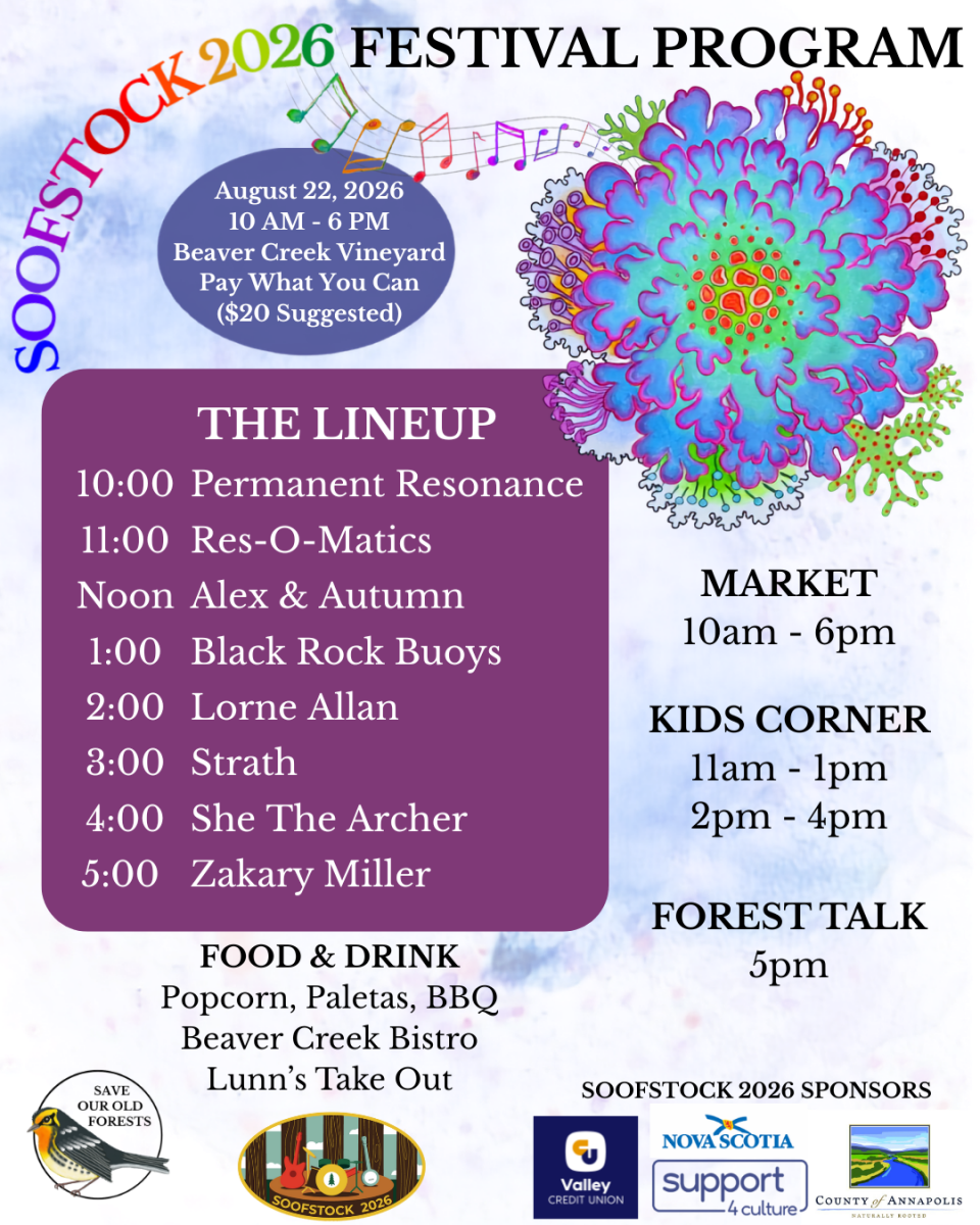 FESTIVAL Posters - PROGRAM
