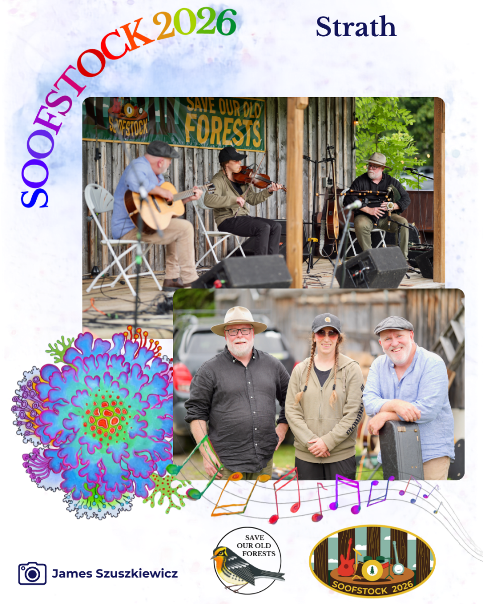 Festival - Recap - Strath
