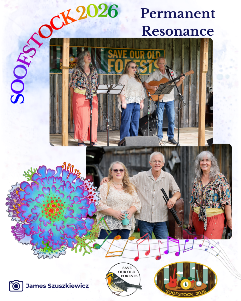 Festival - Recap - permanent resonance