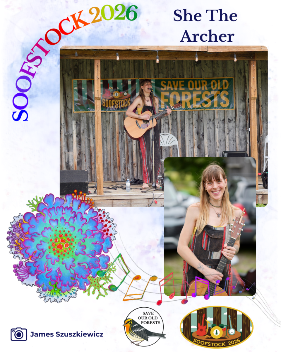 Festival - Recap - she the archer