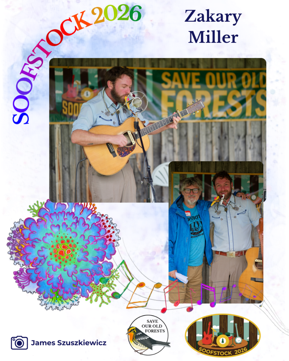 Festival - Recap - zakary miller
