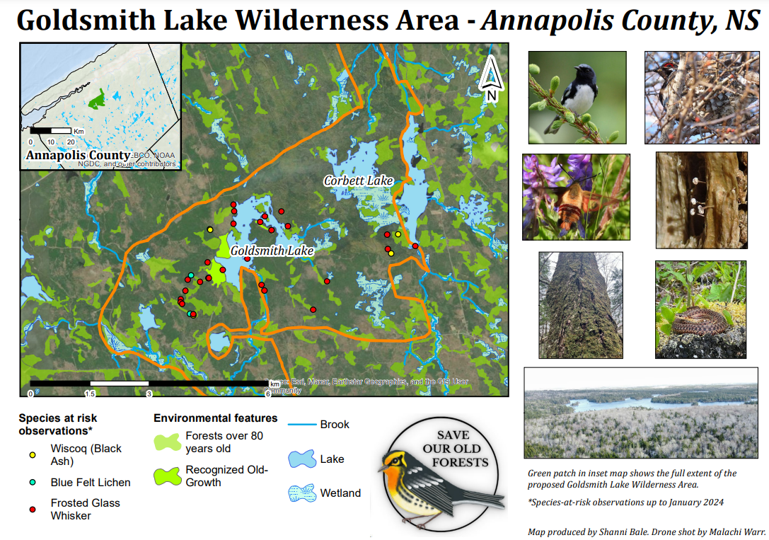 Map showing the boundaries of the proposed Goldsmith Lake Wilderness Areas including Species At Risk observations and images from Citizen Scientists.  Map produced by Shannie Bale. 